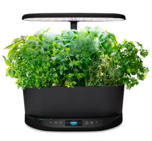 AeroGarden Bounty Basic – Indoor Garden with LED Grow Light