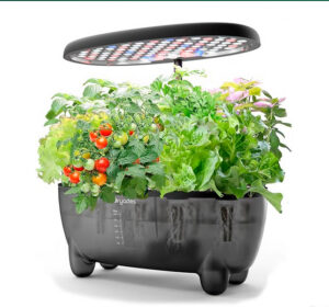 12 Pods Hydroponic Growing Translucent