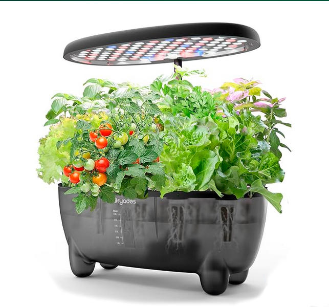 12 Pods Hydroponic Growing Translucent