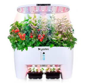 16 Pods Hydroponic Growing – Seedling Plus