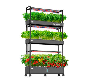 90 Pods Hydroponics Growing