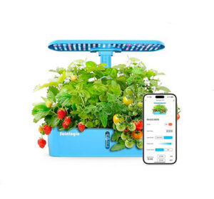 12 Pods Hydroponics Growing HY01