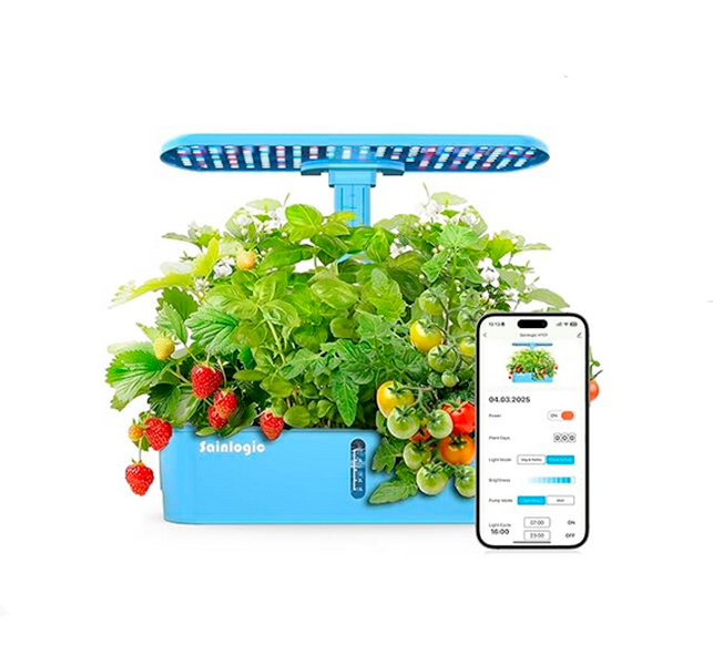 12 Pods Hydroponics Growing HY01