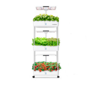 66 Pods Large Triple-Layer Hydrophonic Planter Z243-3