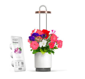 Mini Smart Planter
