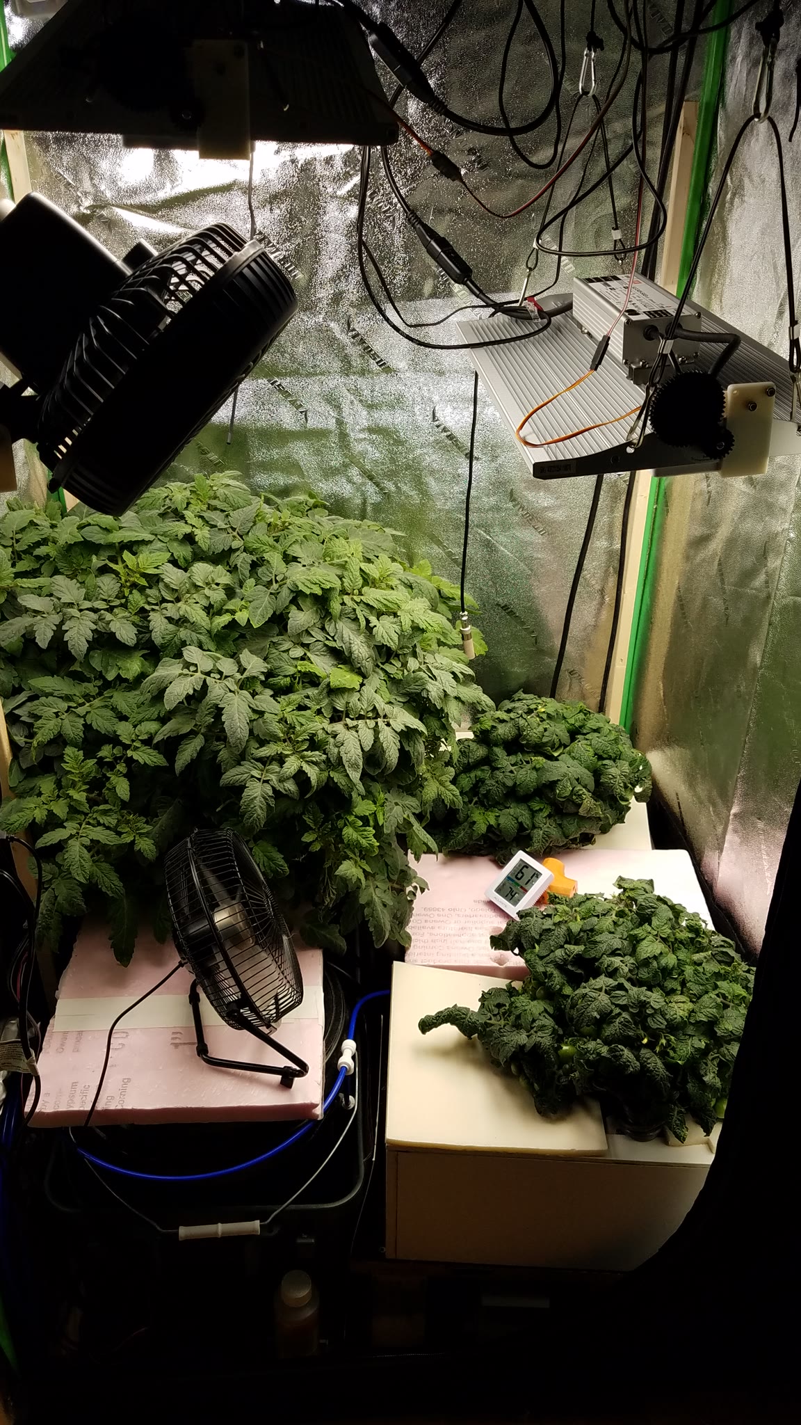 Update #12: Not much to update, just waiting for red..