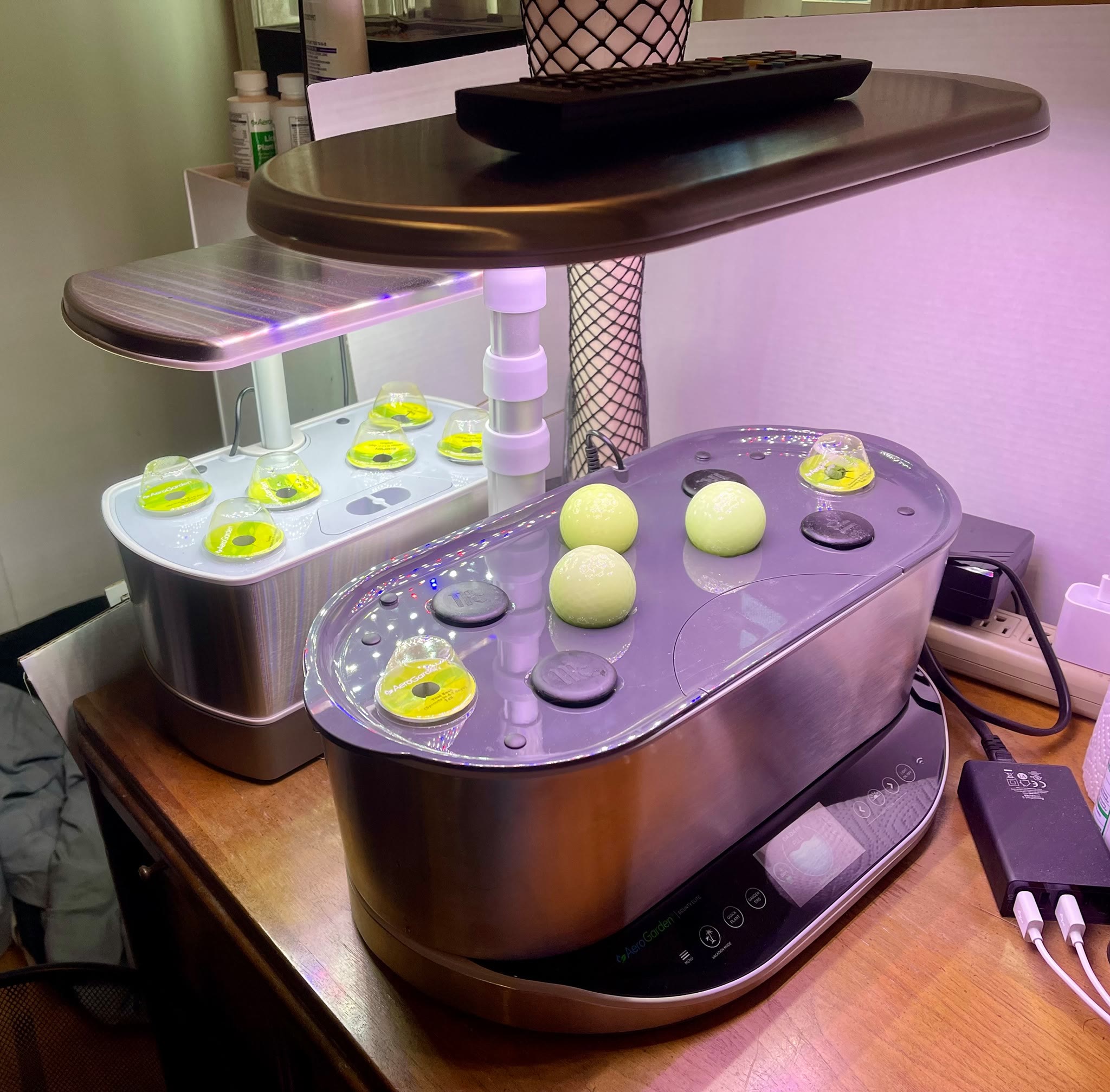 Update #2: July 5, 2021The Bounty Elite and special order herb pods arrived, so I shifted the genovese basil and thai basil…