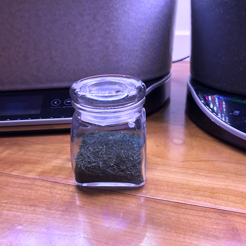 Update #9: Removed the unruly dill, dehydrated and now have homegrown dried dill for the kitchen!