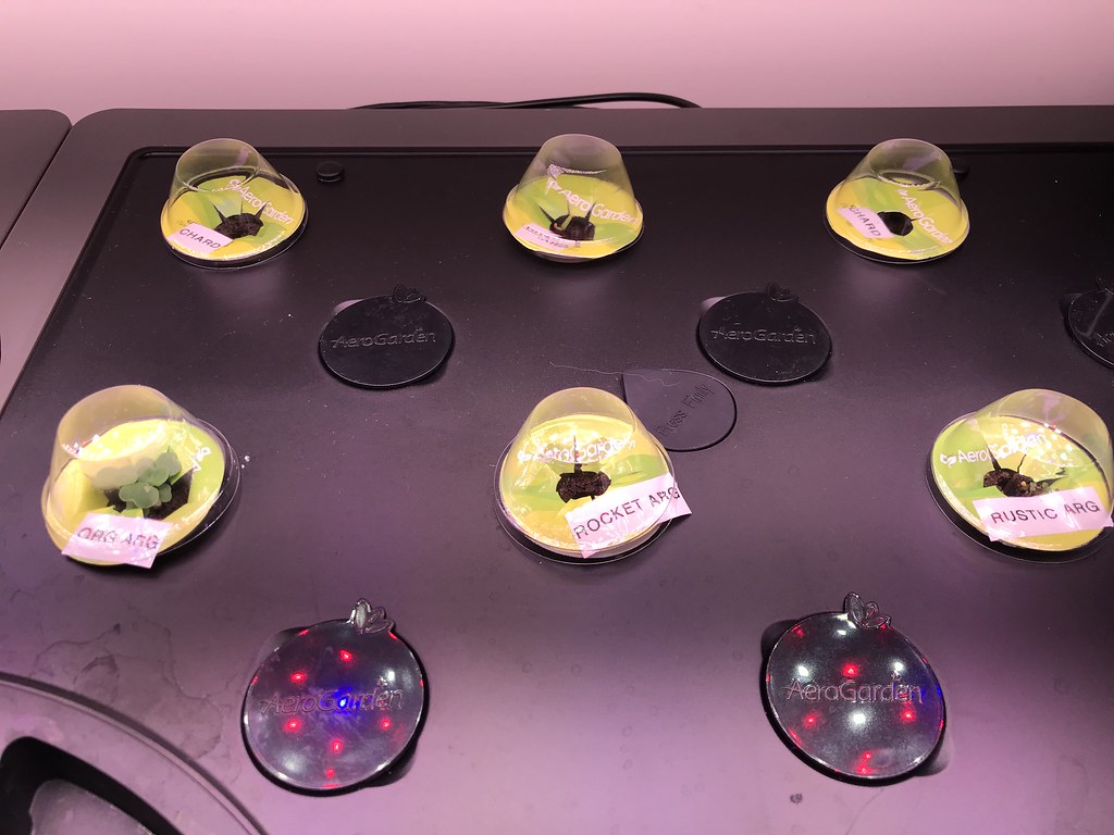 Update #1: Day 3: Lots of lettuce and greens going!]