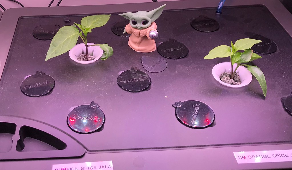 Update #3: Day 20 for the XL gardens. Plants are looking good and a big to Shawn for the suggestion of skewers to help supp…