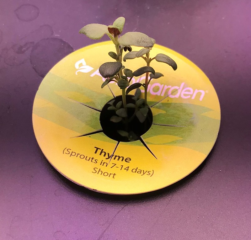 Mixed Herb Garden in an AeroGarden Farm 24 Basic
