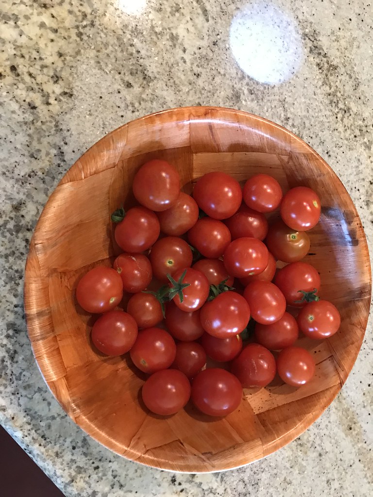 Update #18: We're back and they did very well on their own! We got home and Mikey said, what's wrong with the AG, the light …