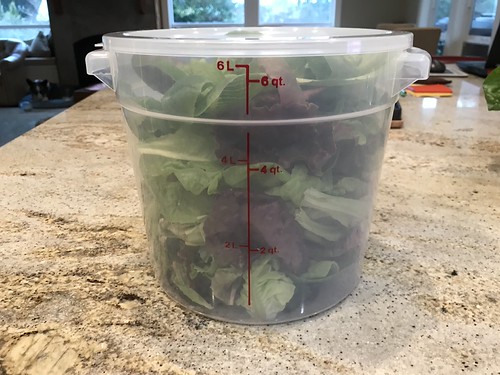 Update #12: Day 79 - I ended the balance of the Lettuce farm since the new Greens are ready to start supplying plenty of sal…
