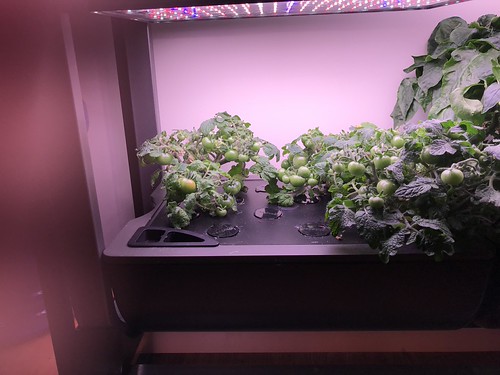 Update #12: Day 79 - I ended the balance of the Lettuce farm since the new Greens are ready to start supplying plenty of sal…