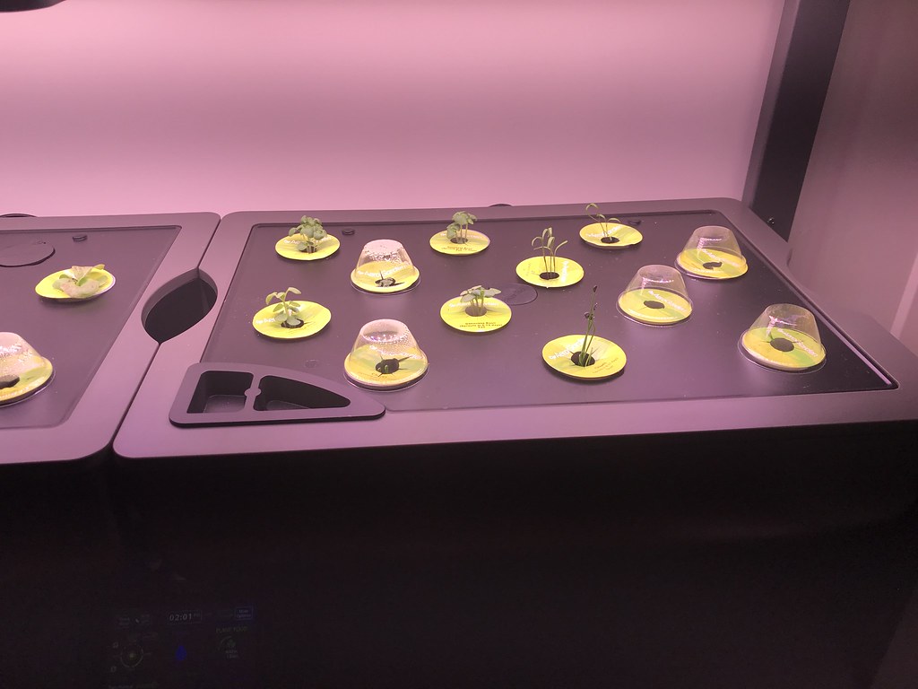 Update #1: Day 9 and things are looking very promising. Top Left:Planted 6 Lettuce pods - 3 are looking good: Parris Island…