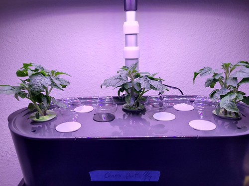 Update #1: I got my two Bounties cleaned up, and I'm getting back into growing some peppers and tomatoes. Exhibit 1 -- I pl…