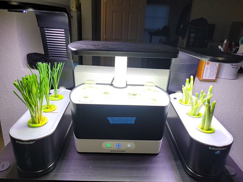 Update #3: Chive update -- I set up the new Sprout.Then, I pulled three chive pods out of the Harvest they were in, and I w…