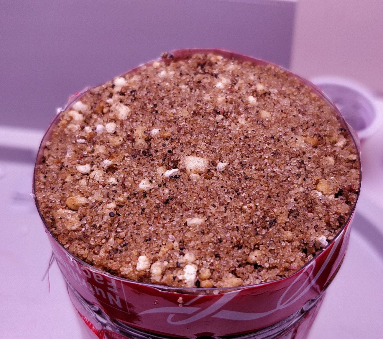 Update #7: For an experiment (and especially given the unconventional seed source), I would consider this a success! I've c…