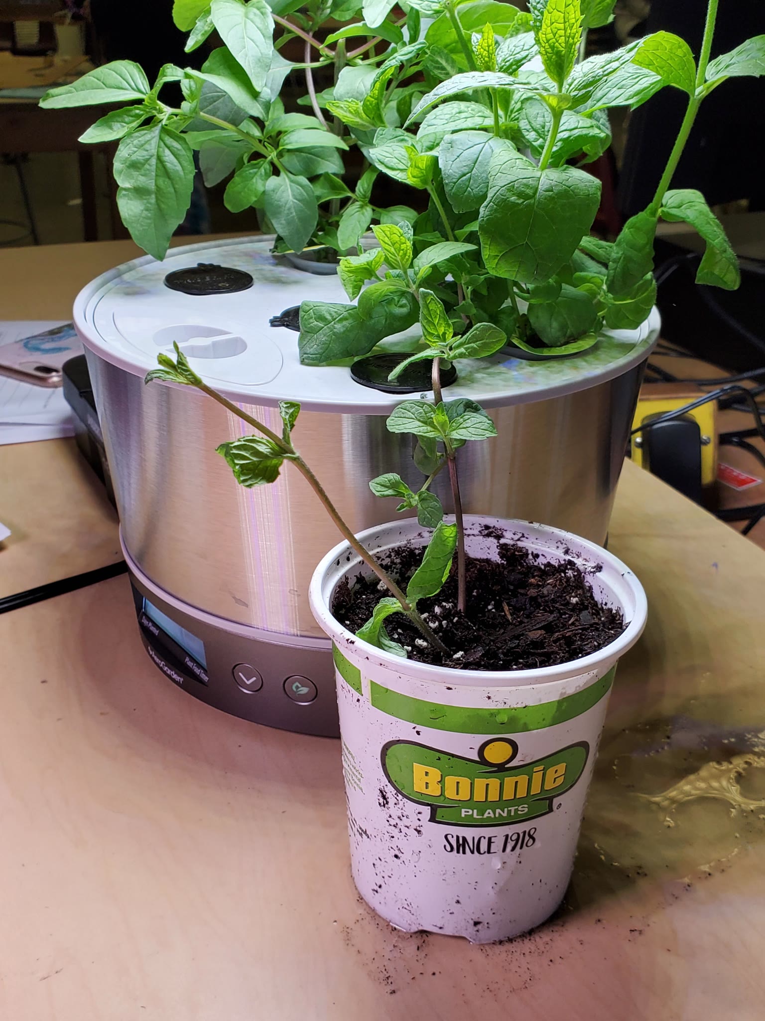 Update #1: I didn't do this one right at all. I just threw some pods in and away I went.Today (2/25/2020) I was trimming up…