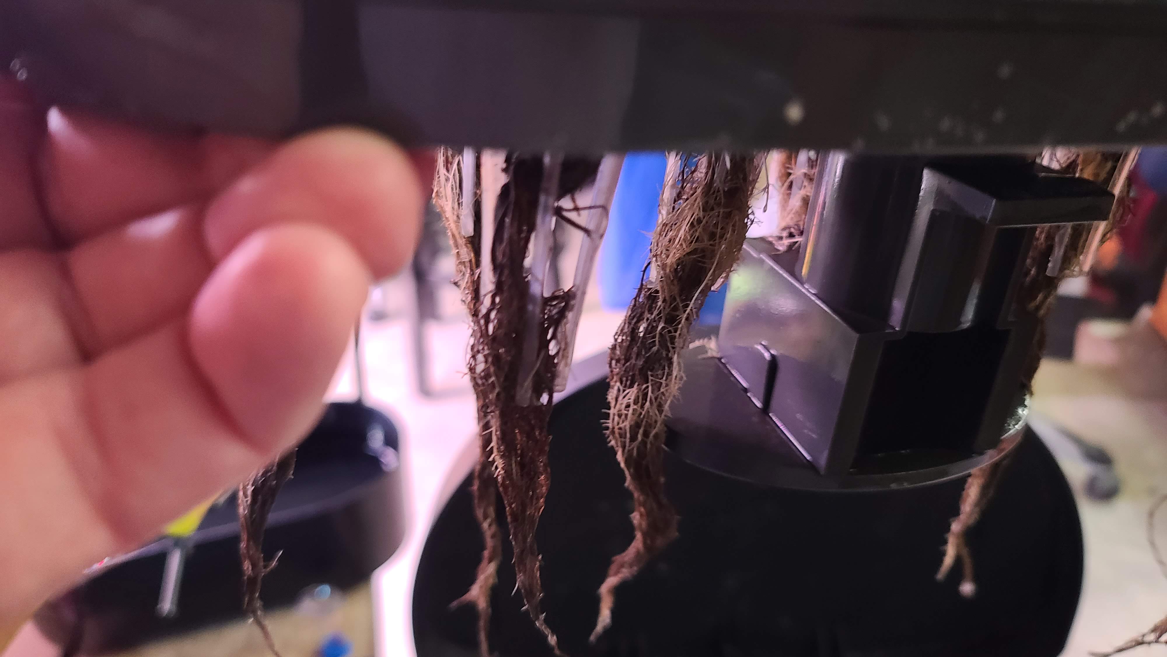 Update #4: I flush/filled and fed today. I used AG nutes and put about 13ml in. EC was right around 1300.The roots are stil…