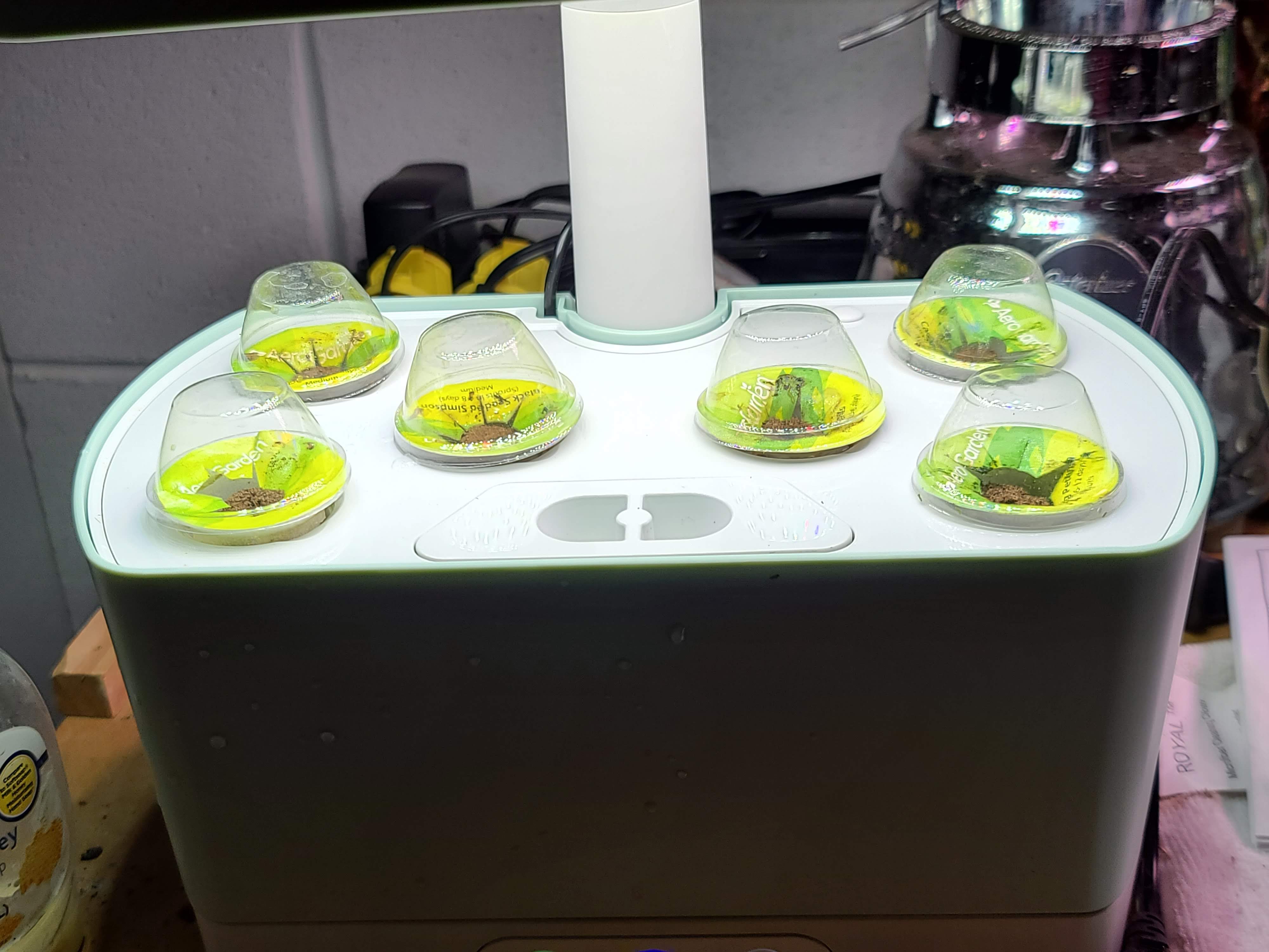 Update #1: My new Harvest project.This is a tiny heading lettuce. It might be too big for all six pods in the Harvest, but …
