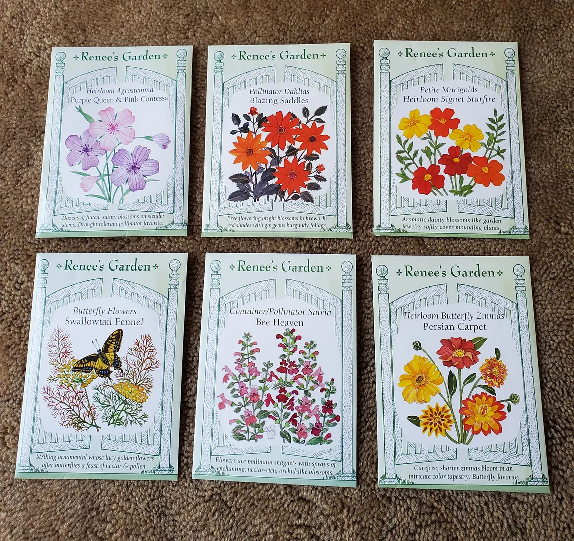 Update #1: Today (6/29/23) I started a flower garden aimed at pleasing the local bees and hummingbirds. Renee's Seeds had a…