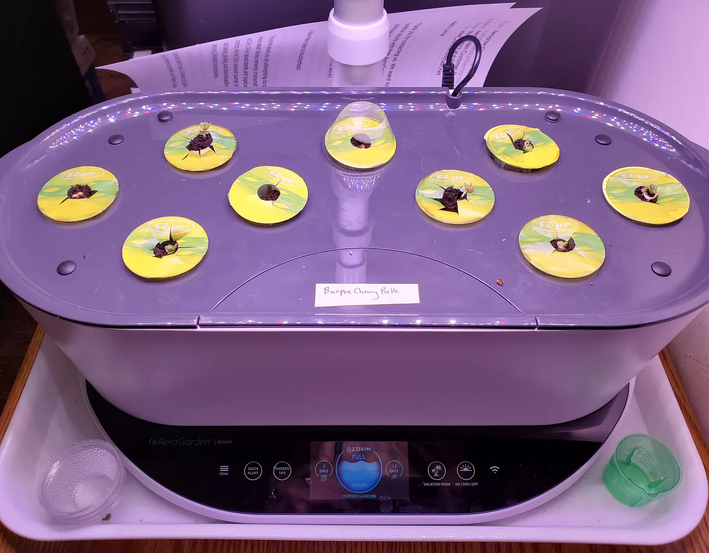Update #1: It's Day 2, and all of the radishes have germinated. I tried to plant the seeds at the very tops of the sponges.…