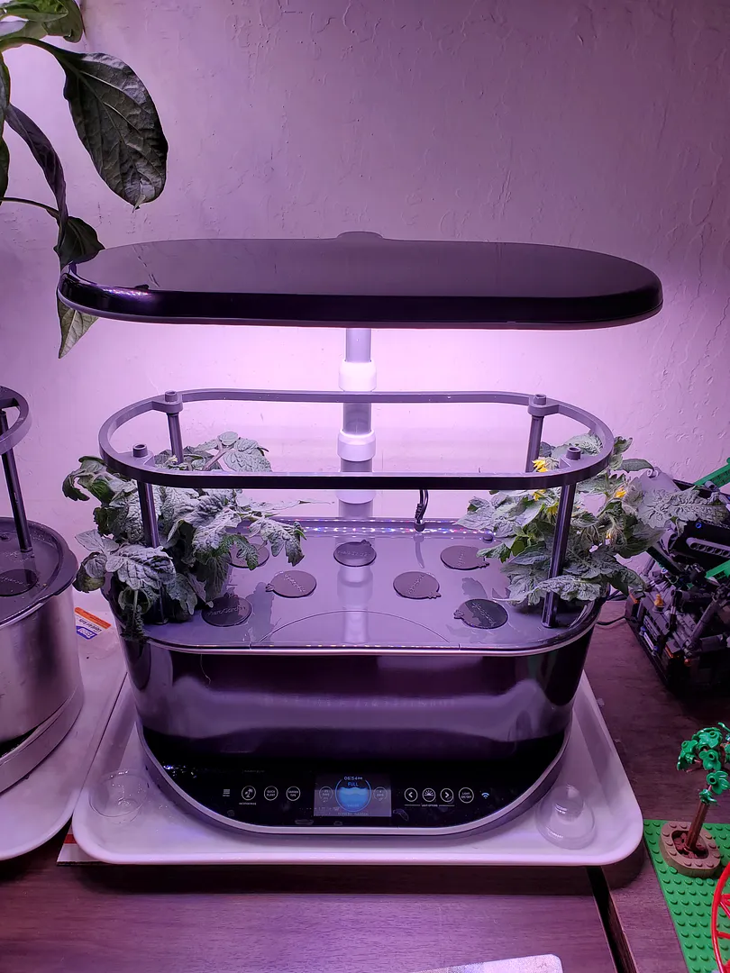 Update #31: Yesterday (1/12/22) I relocated the young peppers and tomatoes that were clearly overcrowded in a single Bounty …