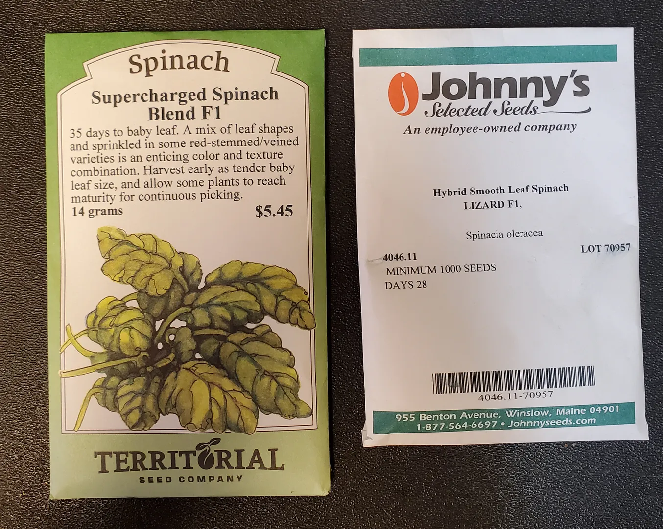 Update #45: I finally gave up on the spinach that was sharing a Bounty Elite with the AG red heirloom tomatoes. The Johnny's…
