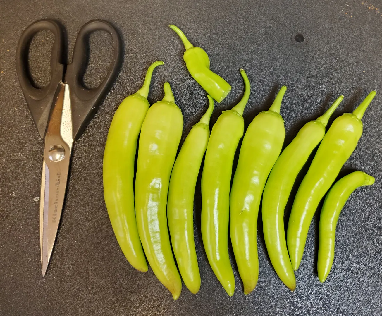 Update #43: Today I terminated the Burpee Blazing Banana pepper plant at Day 98. It produced quite a few big peppers, but th…