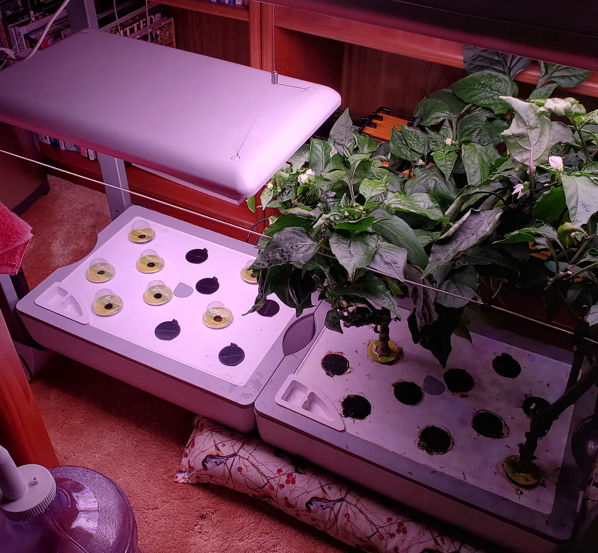 Update #8: Today I planted the vacant half of the Farm Plus with a bunch of seed pods that may not germinate. The pods, fro…