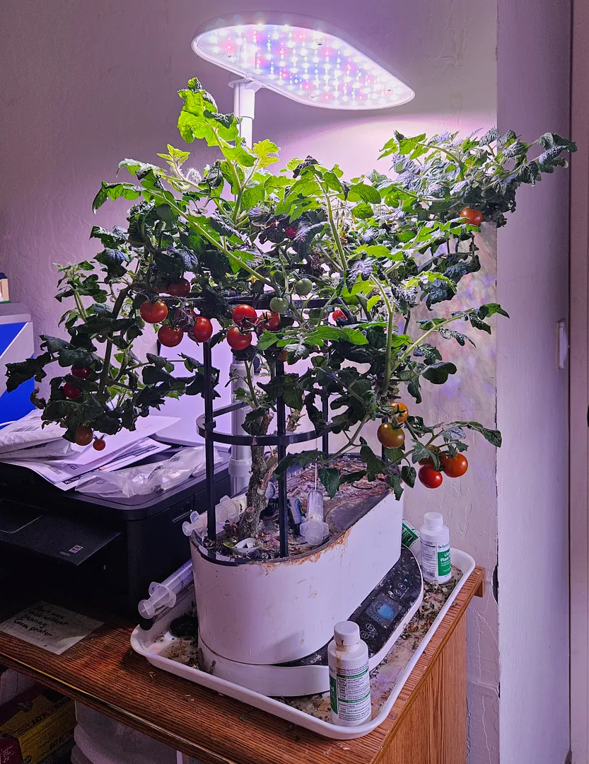 Lynne’s Multi-Year AeroGarden Crop Experiments and Maintenance Log