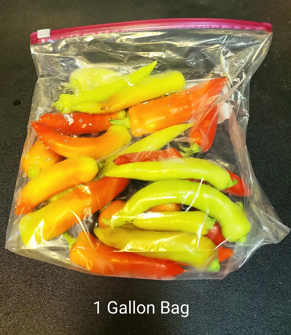 Update #52: A few days ago, I nearly killed my high-producing banana pepper (grown from saved seeds) by forgetting to plug i…