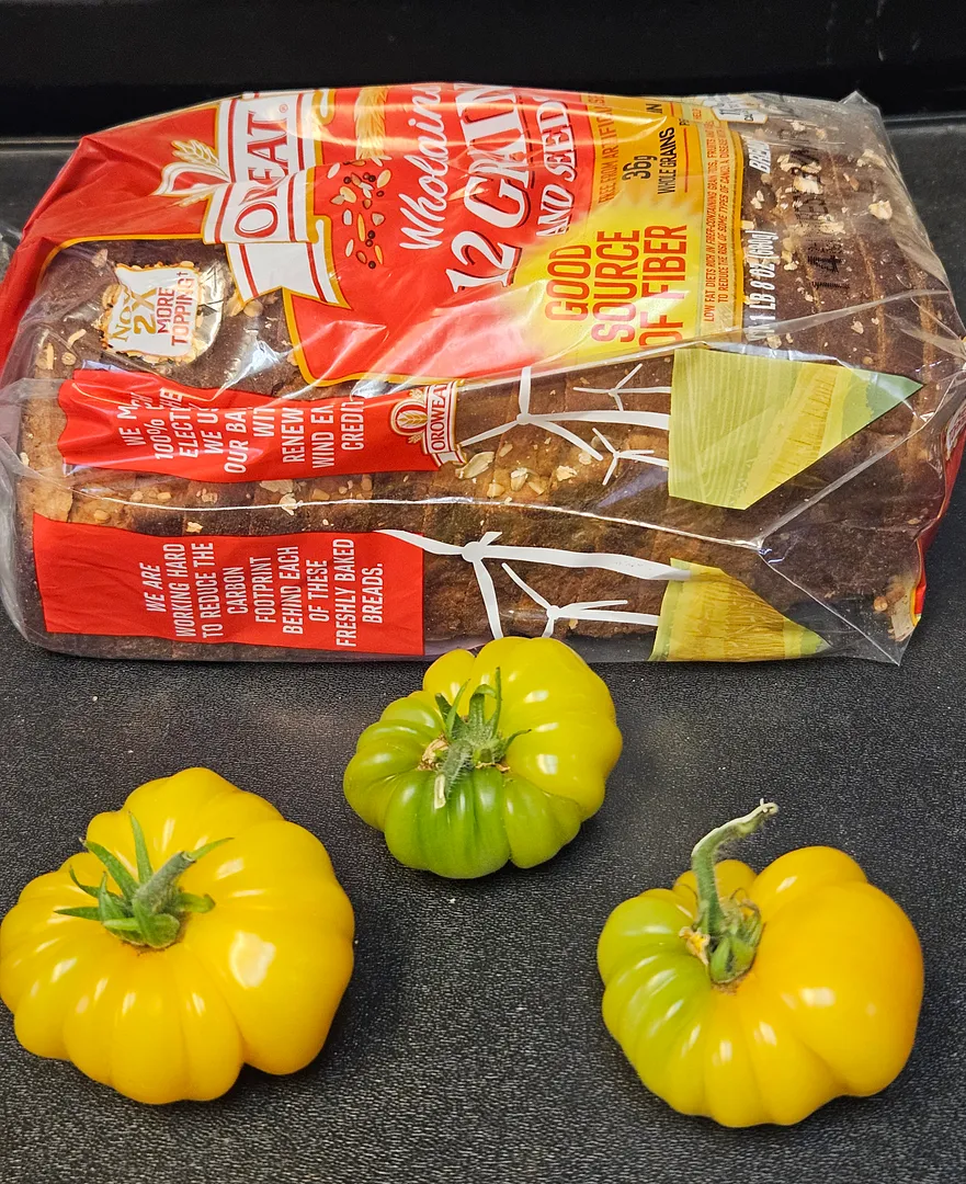 Update #3: Three tomatoes on the remaining Dwarf Awesome have started ripening, so I harvested them today. The plant has so…