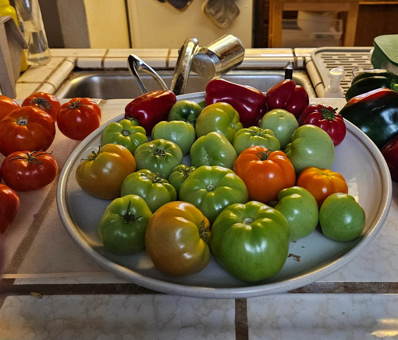 Update #9: The Homeslice is definitely my favorite slicing tomato for now. My Farm 12XL plant was neglected, with infrequen…