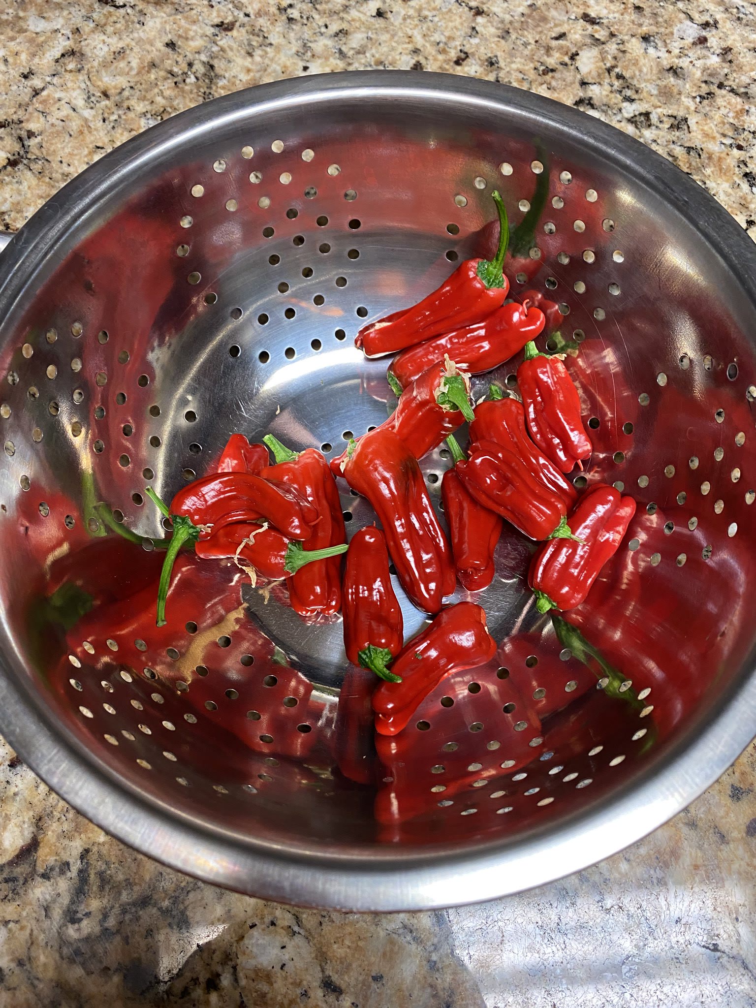 Update #16: Got lots of reds now!! Harvested quite a few of them, but there are still several peppers on the plant that were…