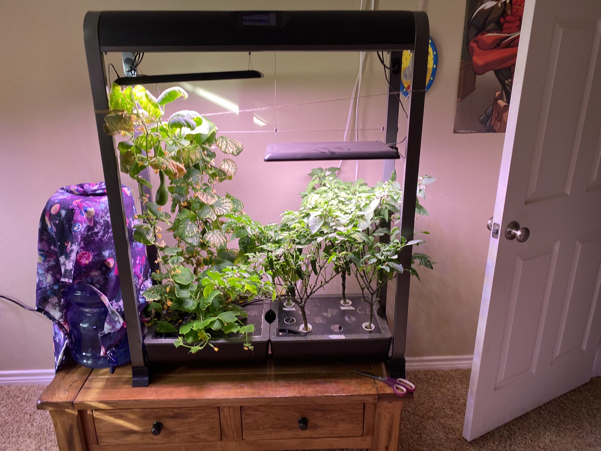 Update #18: I'm home~!!! Hello again fellow addicts! Got back about 4 hours ago and have been running ever since, it's time …