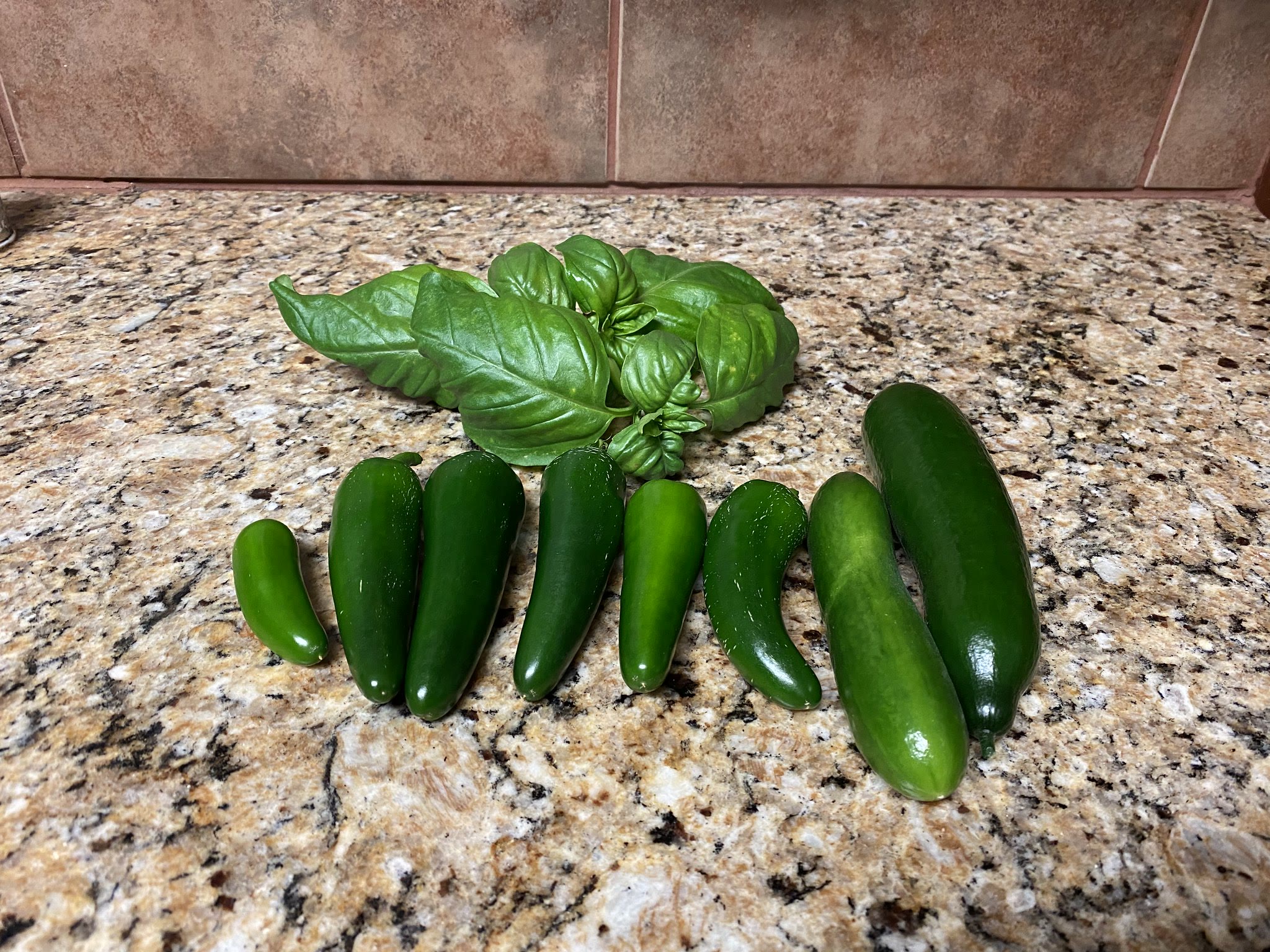 Update #17: Had to usual weekend mess waiting for me lolDid some cleaning and trimming, and harvested a few nice big peppers…