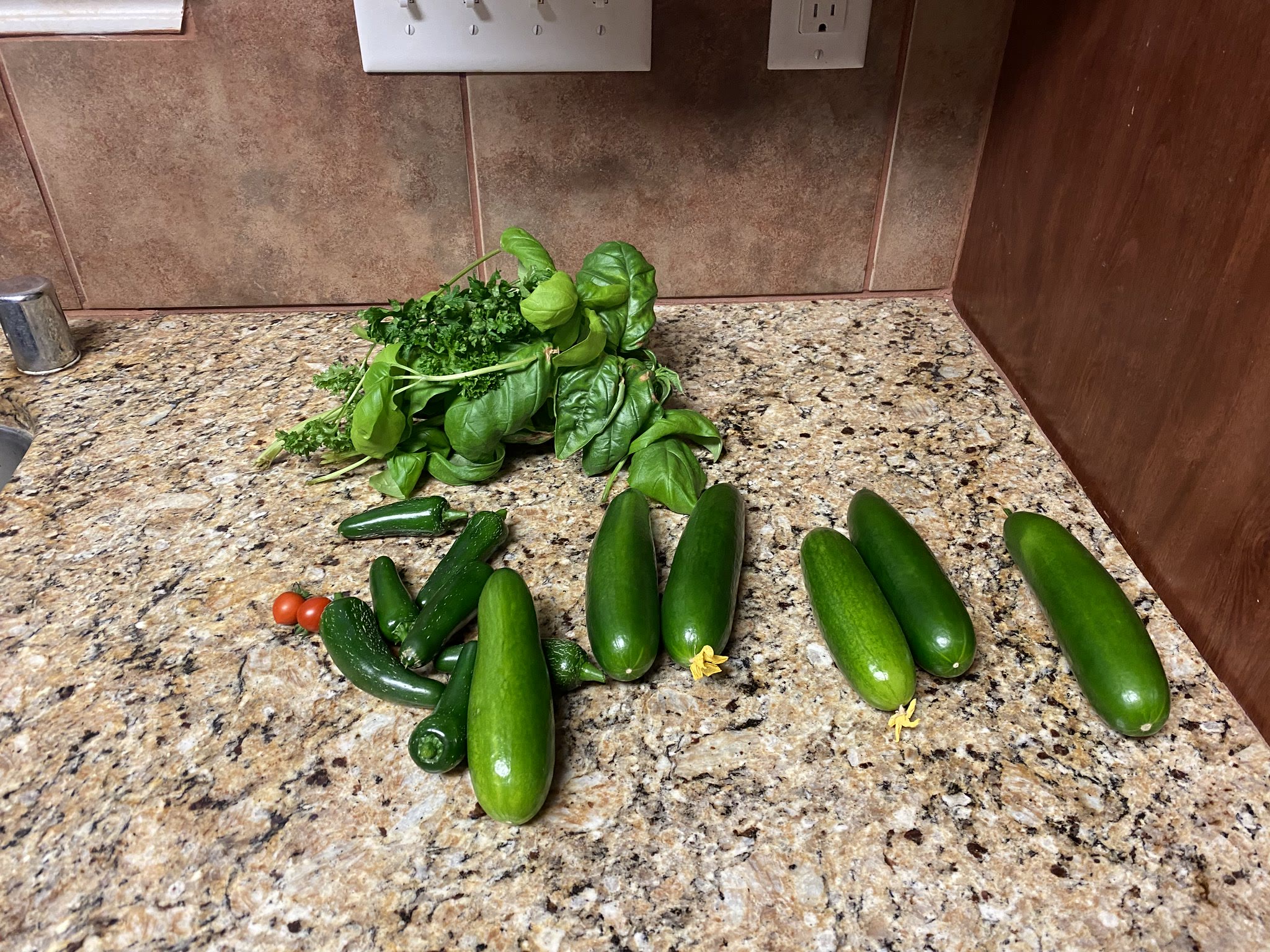 Mini Munch cucumber and compact peppers in a Farm 24 XL