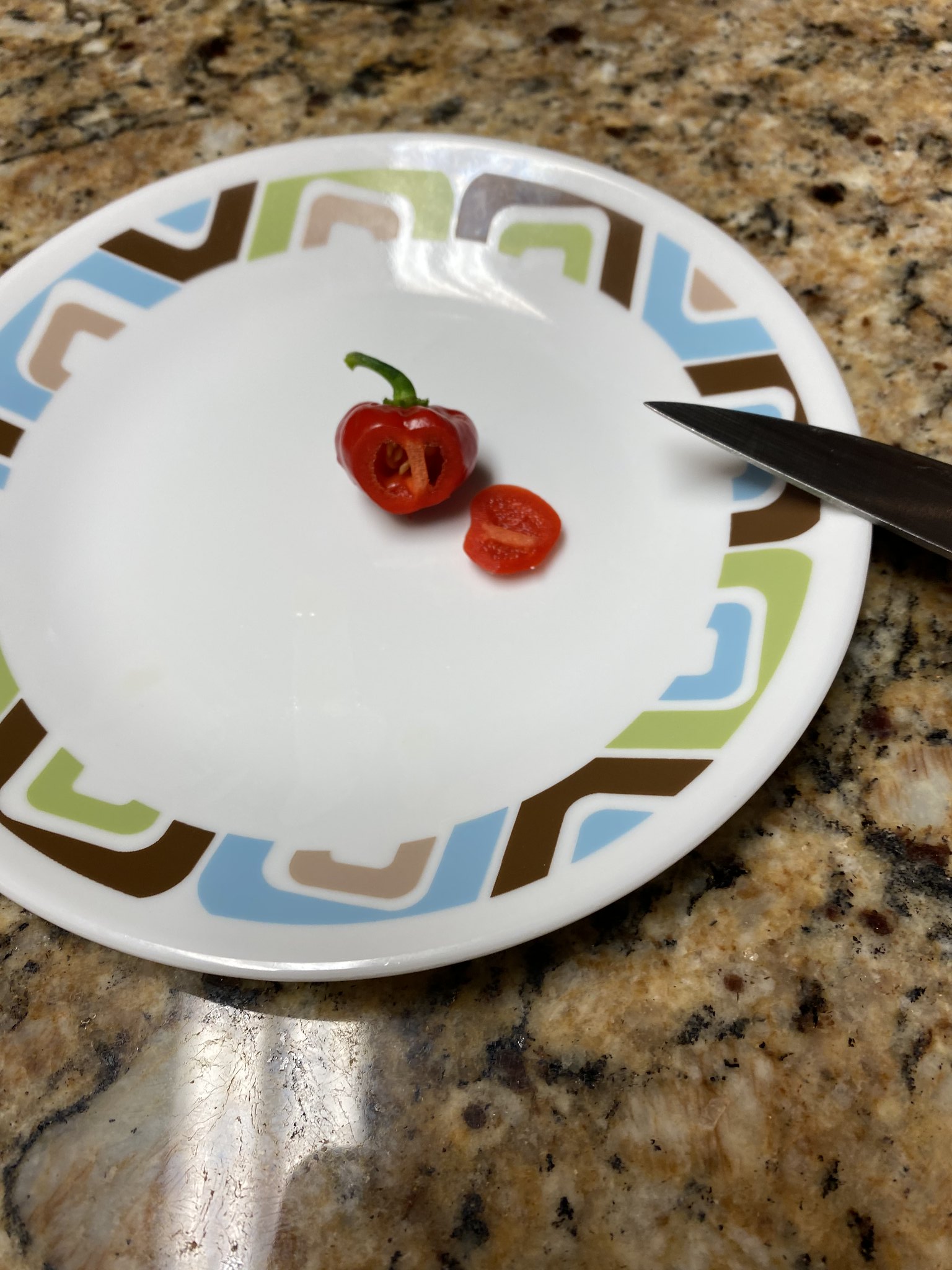 Update #22: Picked a couple cucumbers and several jalapenos today! And the one sweet bonnet that was ready! The cucumber vin…