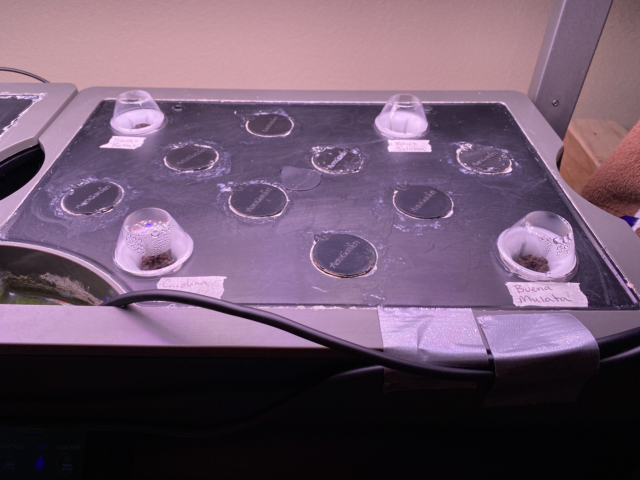 Update #1: Planted 5 days ago, and already showing some life! That's honestly the fastest I've ever seen a pepper sprout lo…