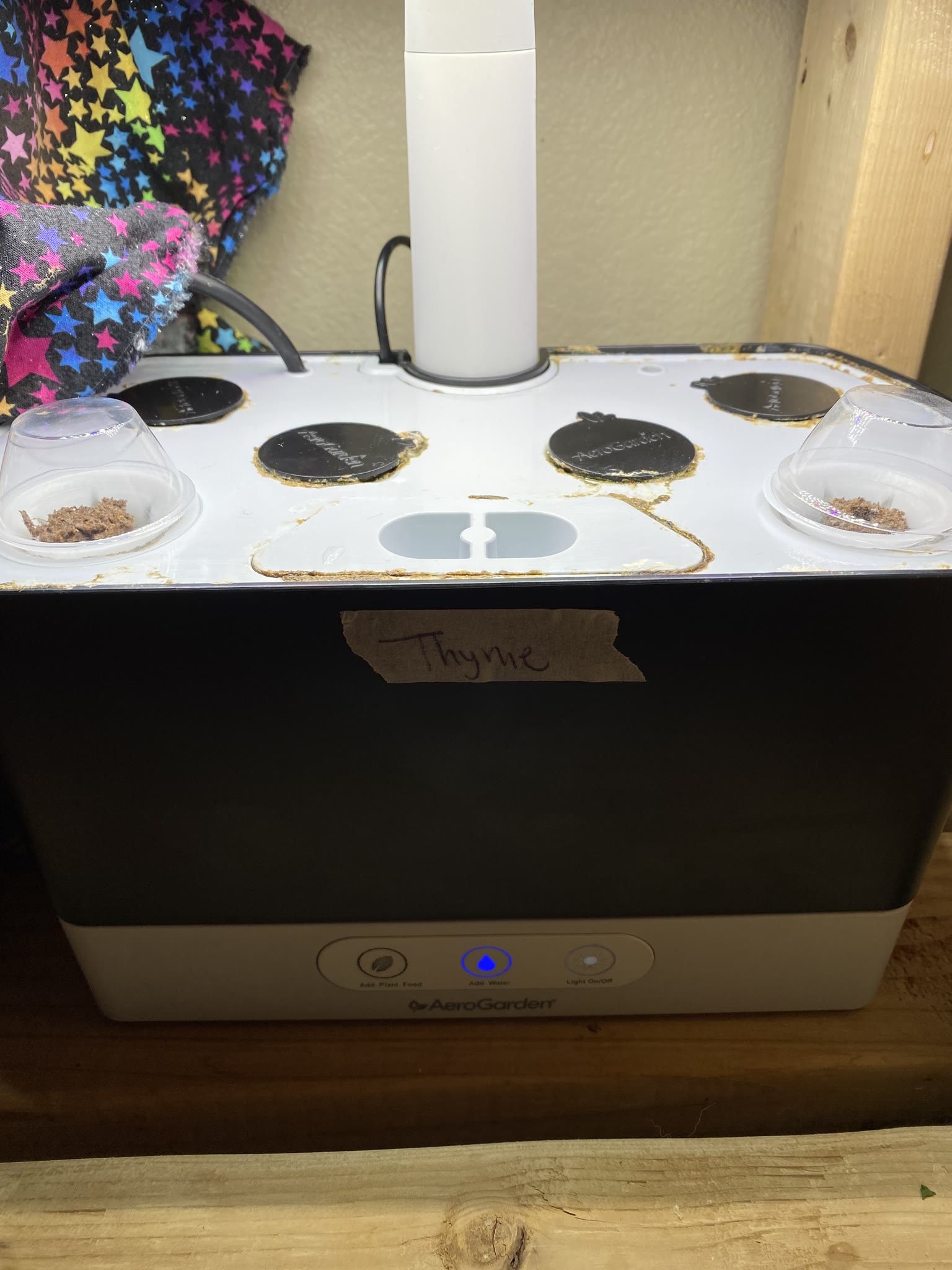 Update #1: Starting a new thread for herbs!! The parsley has been sickly-looking: So I ended it and planted thyme! Trimmed …