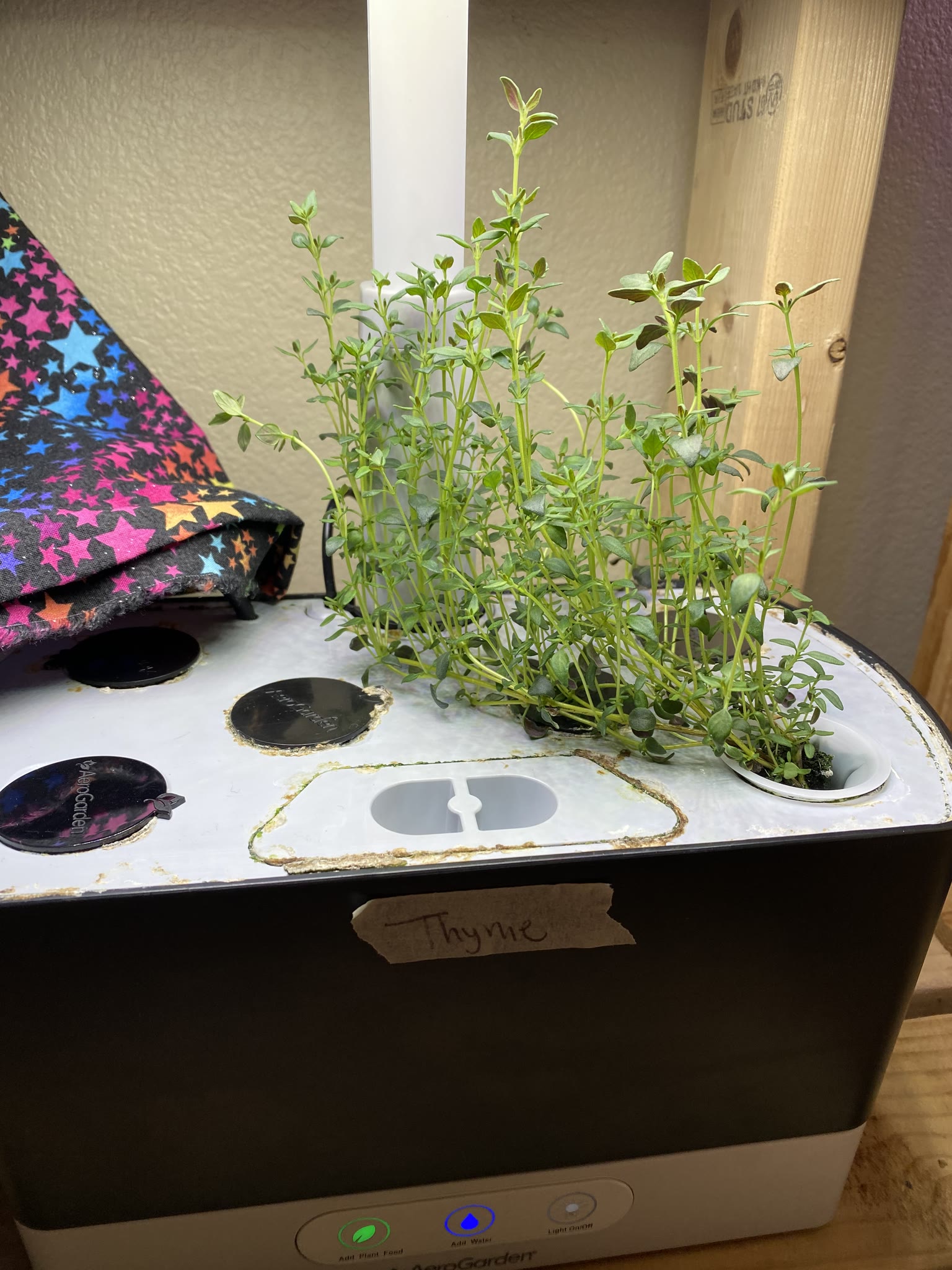 Update #5: The oregano and thyme are both getting bigger The basil has finally been cut down and ended. It had a great run!…