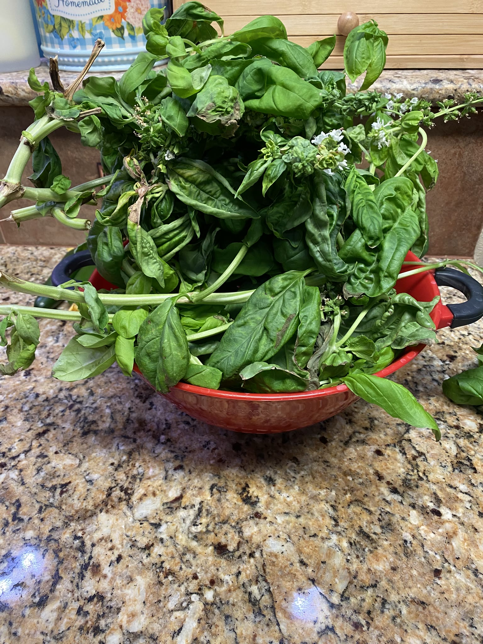 Update #5: The oregano and thyme are both getting bigger The basil has finally been cut down and ended. It had a great run!…