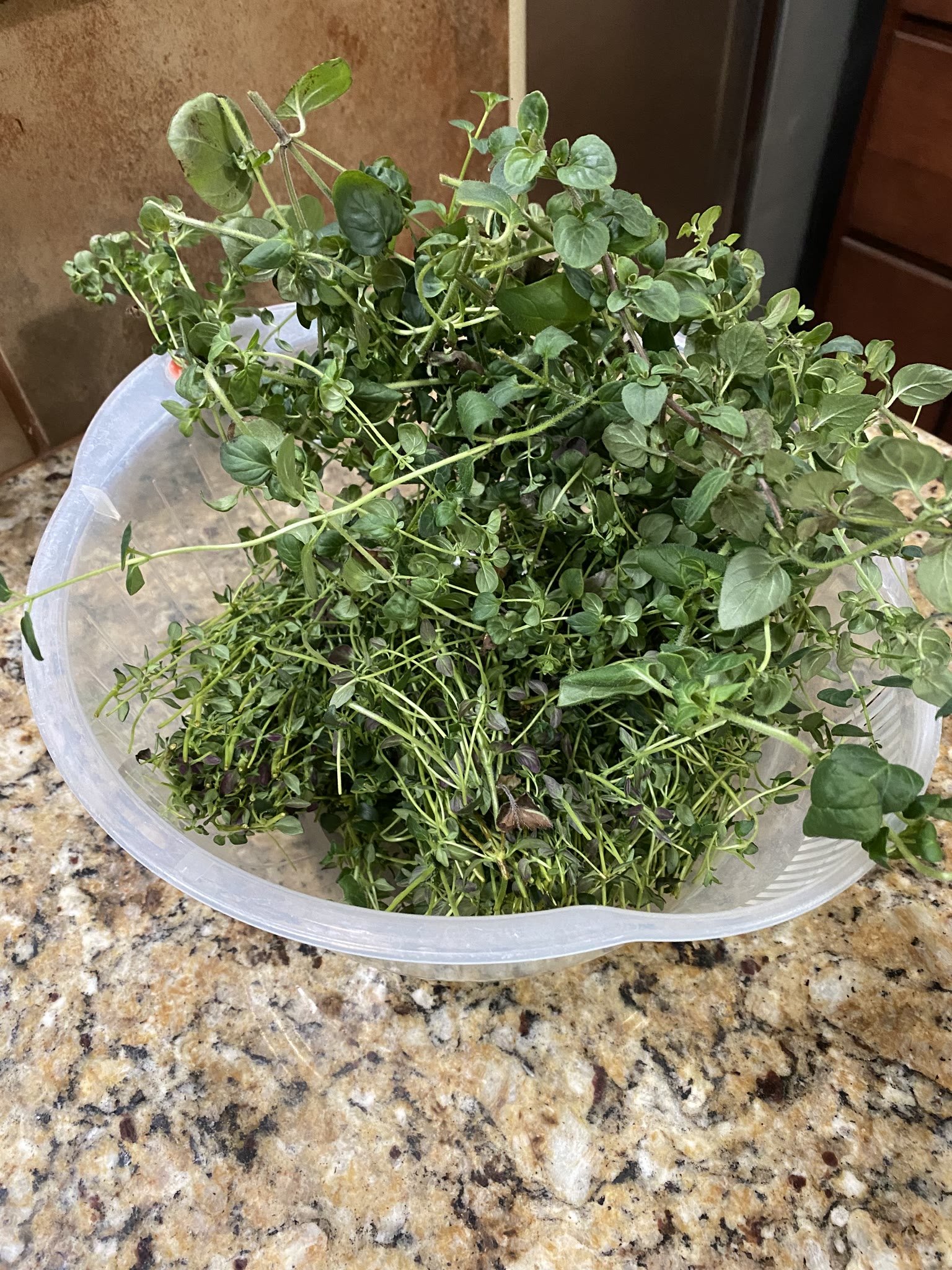 Update #7: Some lovely herbs!!! The oregano! She bloomed!! Thyme trying to eat my machine: Post-trimming The harvest