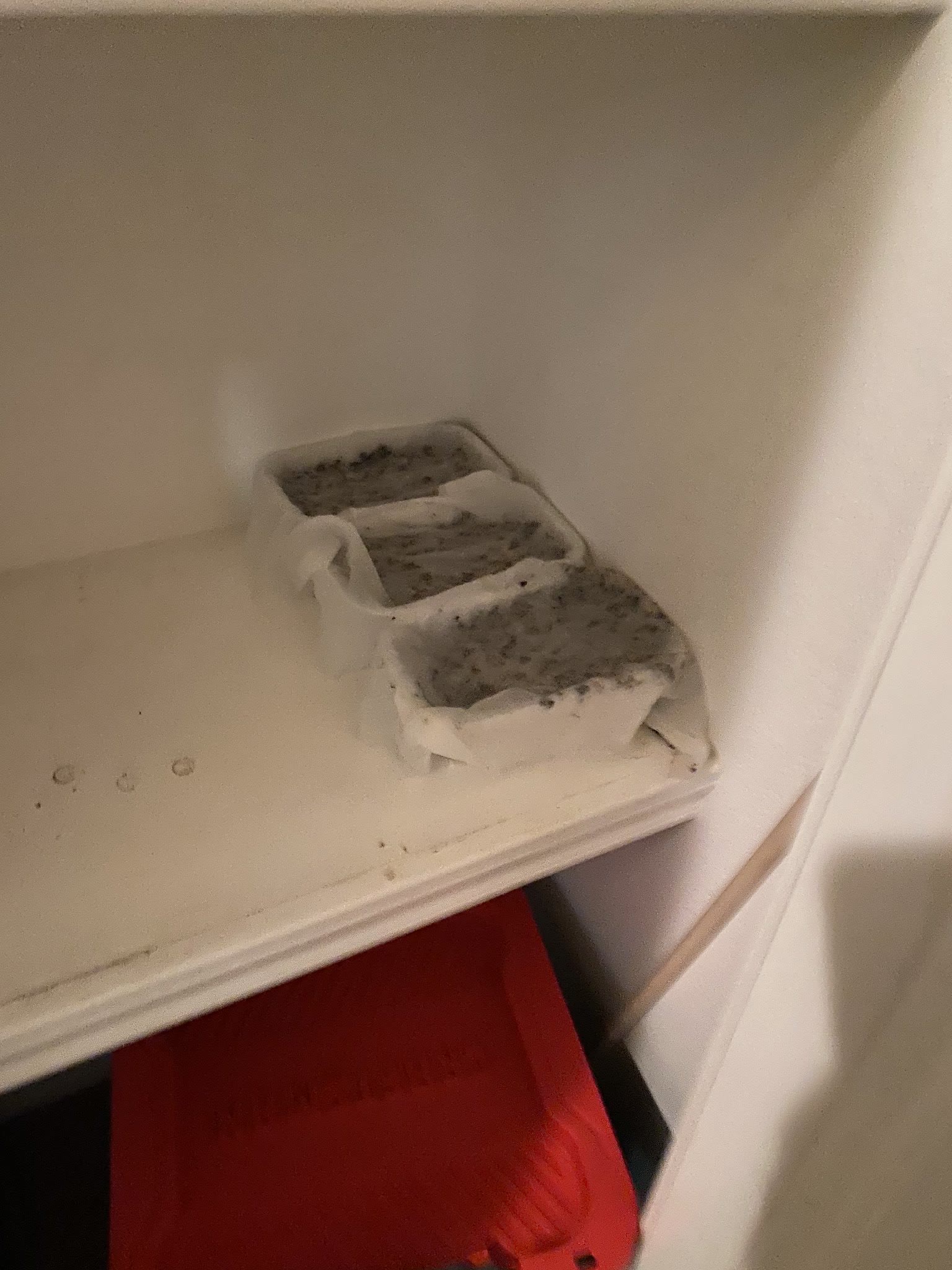 Update #21: Finally got the seeds in to start my new greens project! I read Peter Burke's book on year-round indoor salad ga…