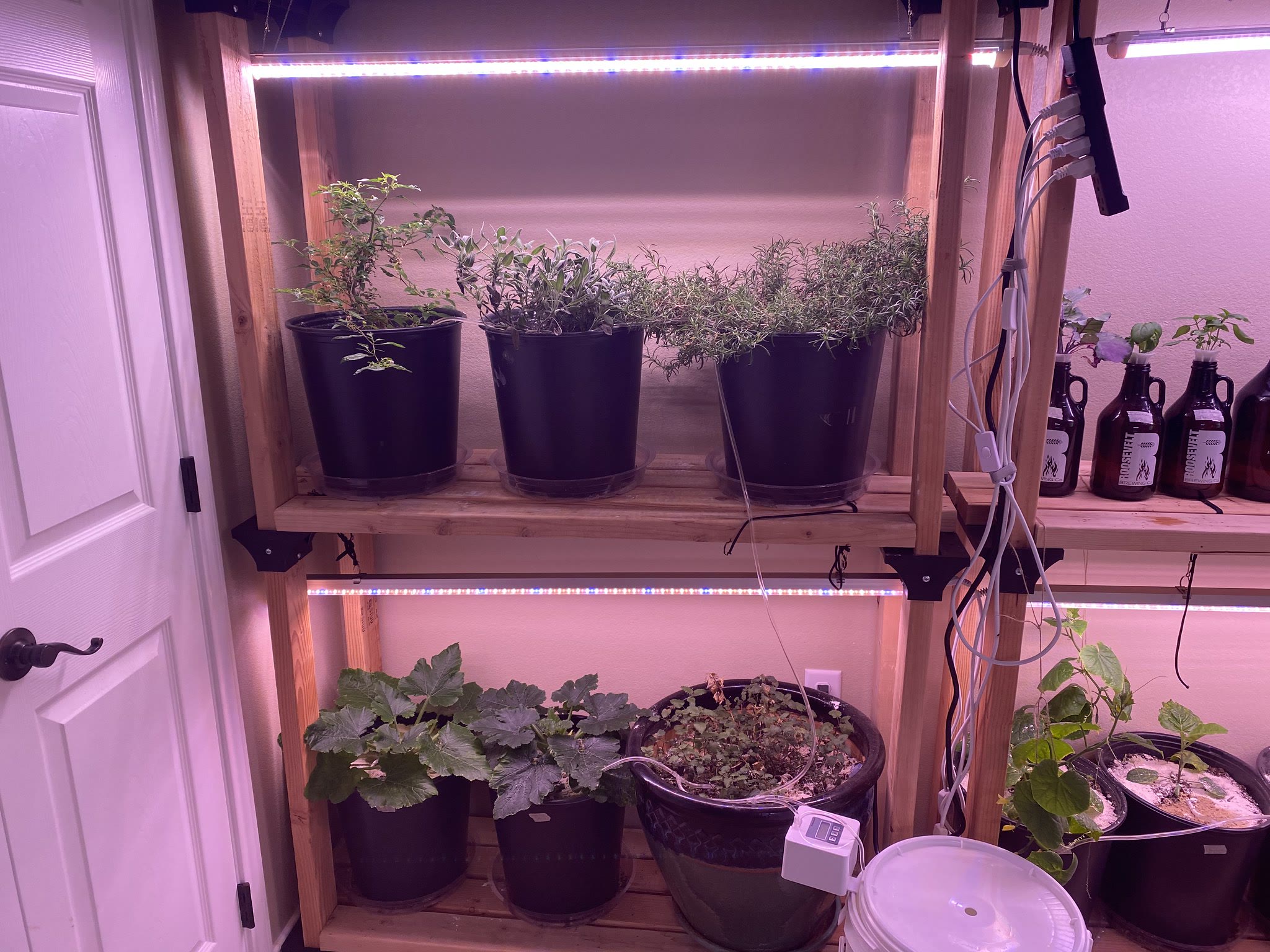 Update #16: Put some ties on the lower shelf to help the cucumber start climbing, it was making its way over to the eggplant…