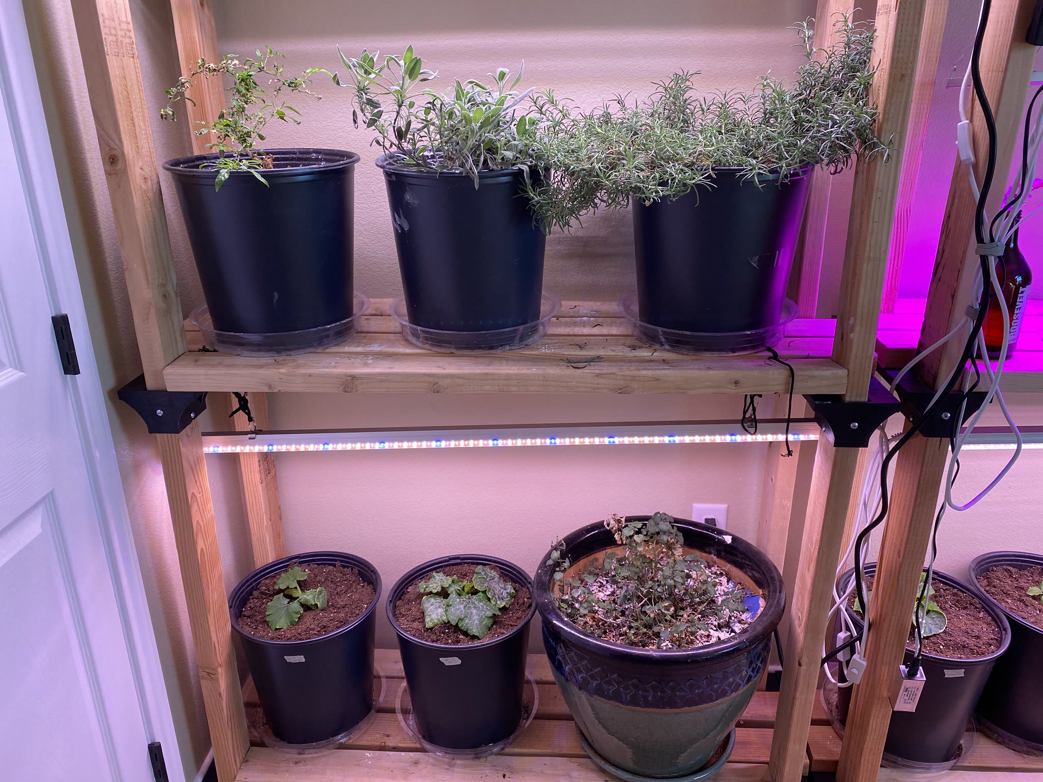 Update #7: Got things transplanted and settled in! Cucumber, Eggplant, and 2 Tomatoes:The 2 Zucchinis on the bottom with a …