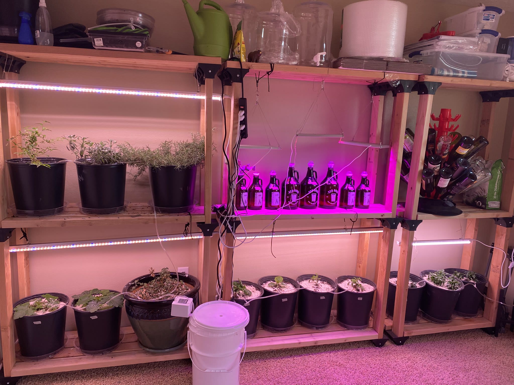 Update #10: It took aaaaaalll day, but I moved the futon out of the plant room and moved the table and shelves holding my Ae…