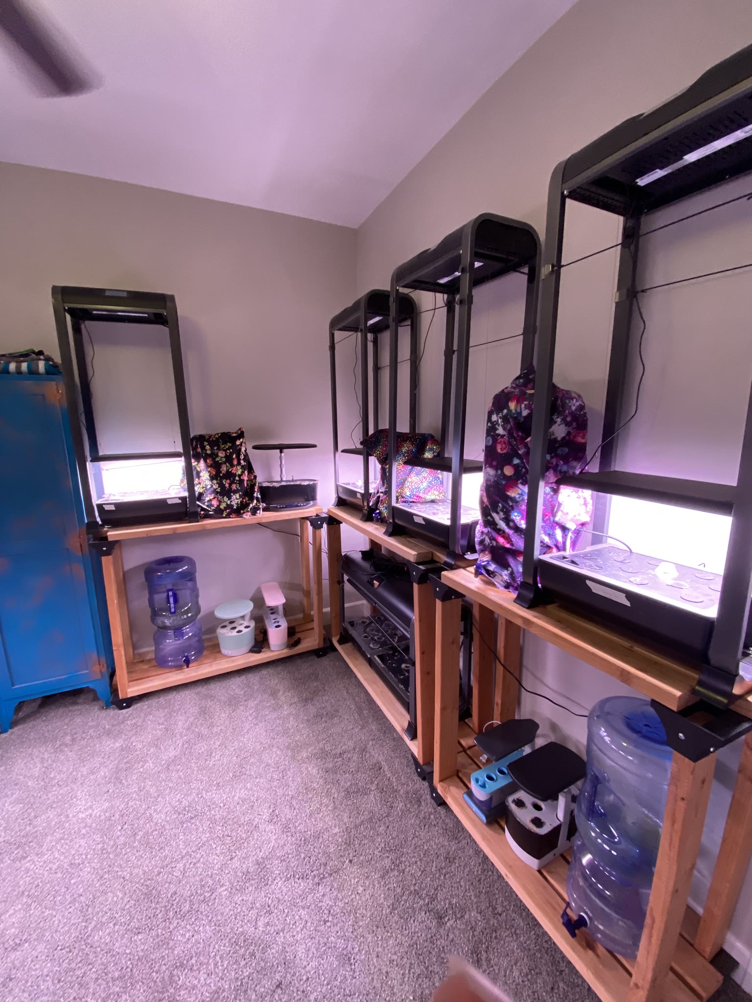 Update #1: Absolutely THRILLED to say I've starting Aerogardening again!! It's been a while!! Got fully moved into the hous…